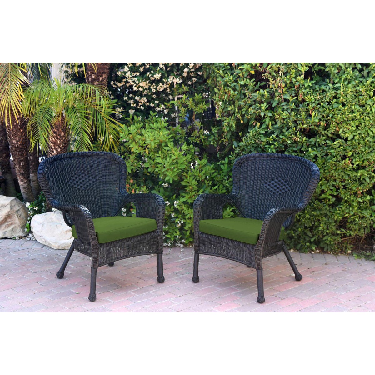 Set of 2 Windsor Black Resin Wicker Chair with Hunter Green Cushion