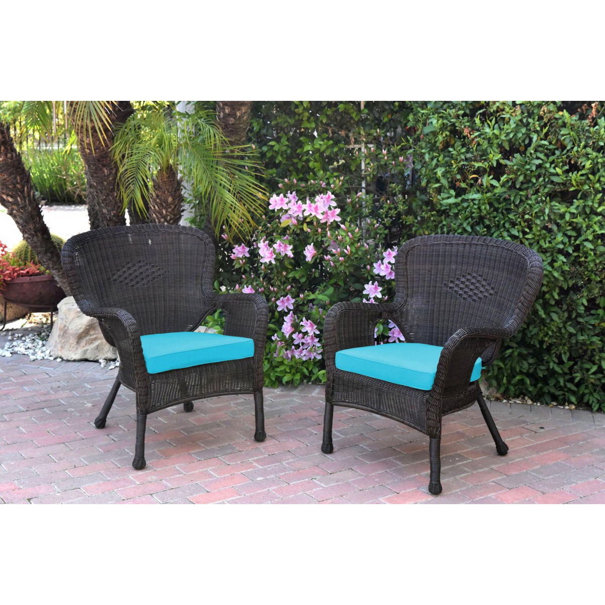 Set of 2 Windsor Espresso Resin Wicker Chair with Sky Blue Cushion
