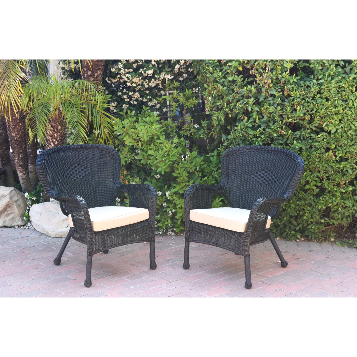 Set of 2 Windsor Black Resin Wicker Chair with Tan Cushions