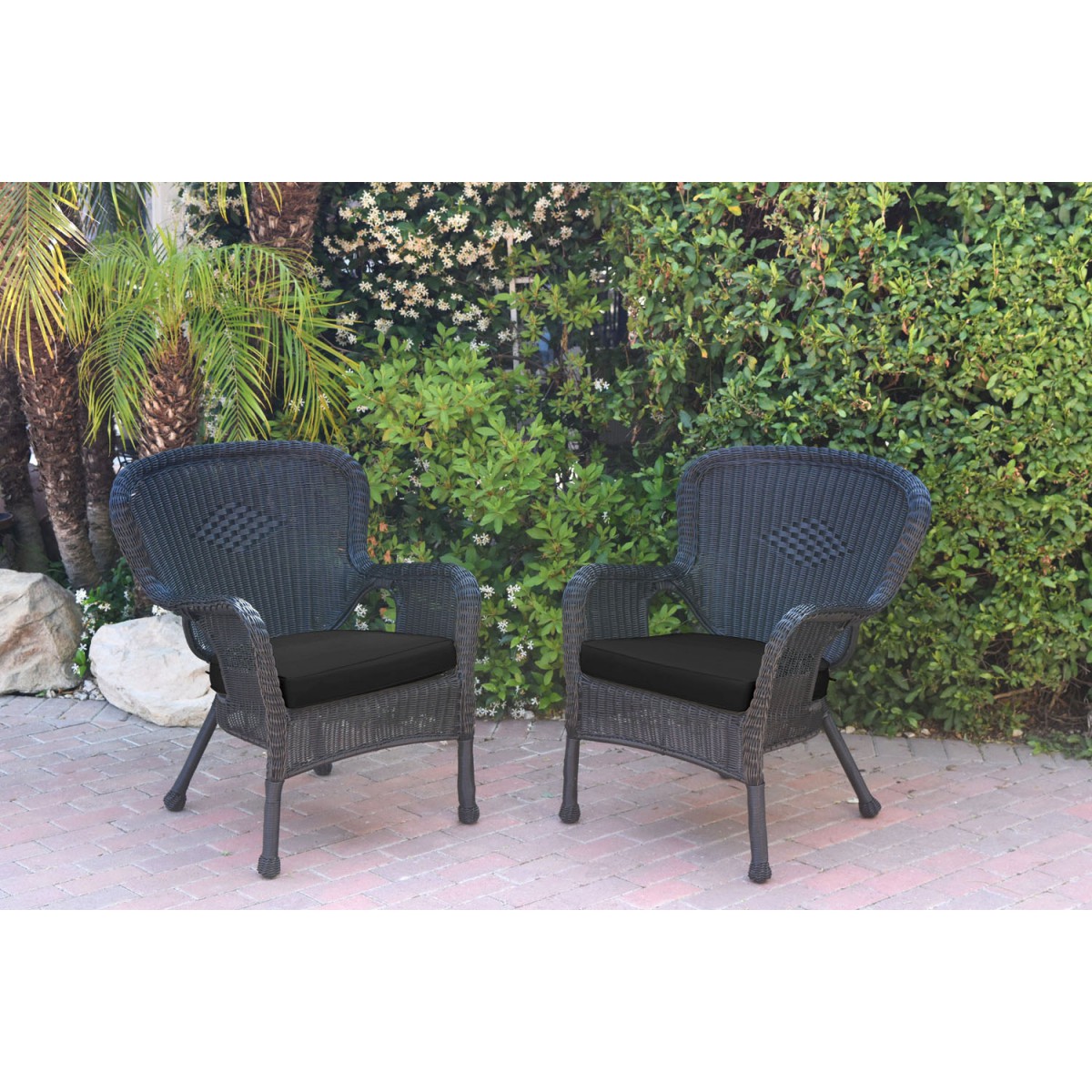 Set of 2 Windsor Black Resin Wicker Chair with Black Cushions