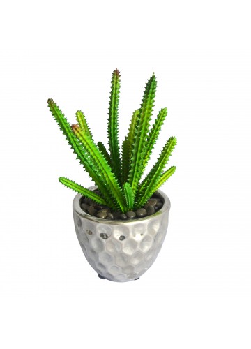 4.72 Inch H Green PE Succulent Plant