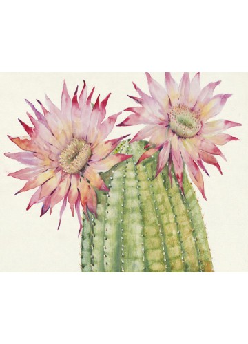 19.7 Inch H Pink,Green Printing Canvas