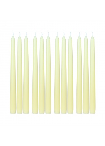 10 Inch Ivory Taper Candles (144pcs/Case) Bulk