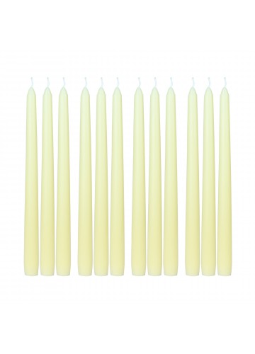 10 Inch Ivory Taper Candles (144pcs/Case) Bulk