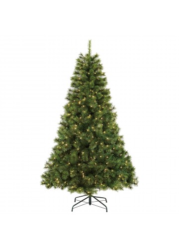 Isobel 7FT Aspen Pre-Lit Clear lights Tree