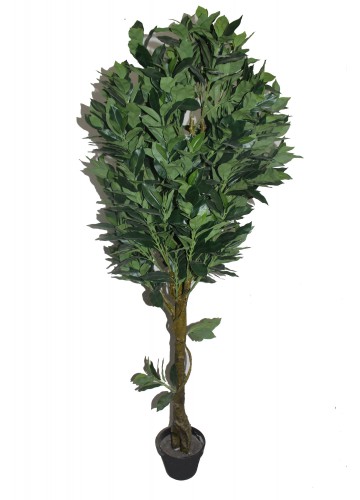 65 Inch Fortune Tree
