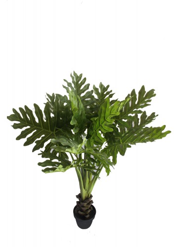 47 Inch Tropical Shell Leaf Tree