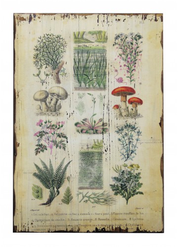 15.75 Inch x 23.75 Inch Botanical Wall Plaque