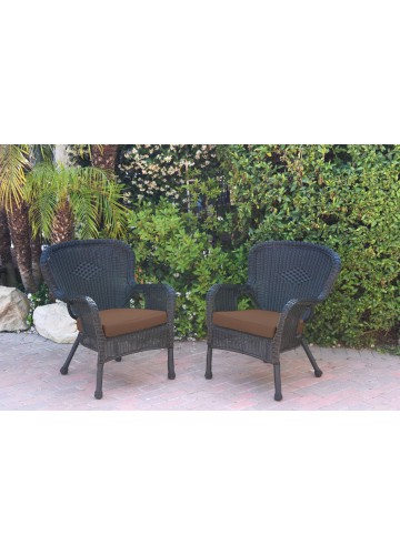 Set of 2 Windsor Black Resin Wicker Chair with Brown Cushions