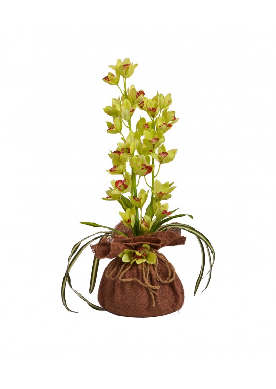 Floral arrangement with burlap pot