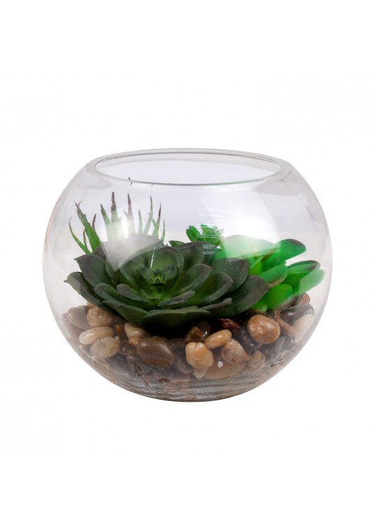 Decorative Plant in Glass Bowl