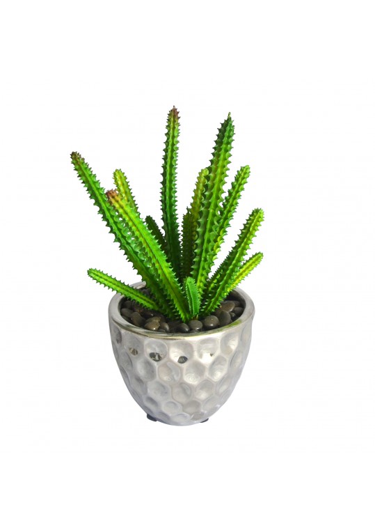 4.72 Inch H Green PE Succulent Plant