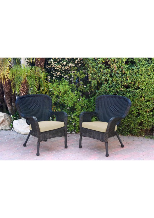 Set of 2 Windsor Black Resin Wicker Chair with Ivory Cushion