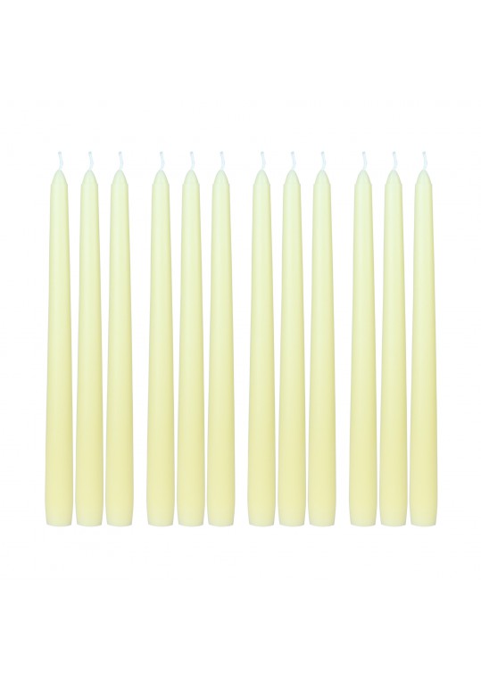 10 Inch Ivory Taper Candles (144pcs/Case) Bulk