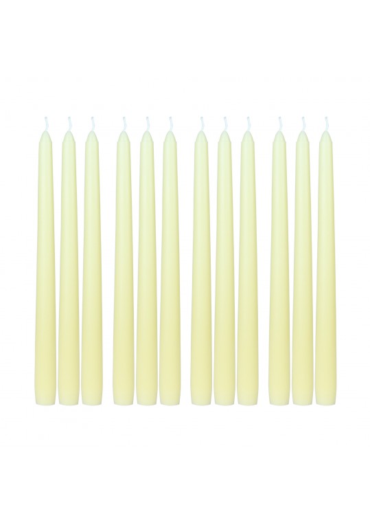 10 Inch Ivory Taper Candles (144pcs/Case) Bulk