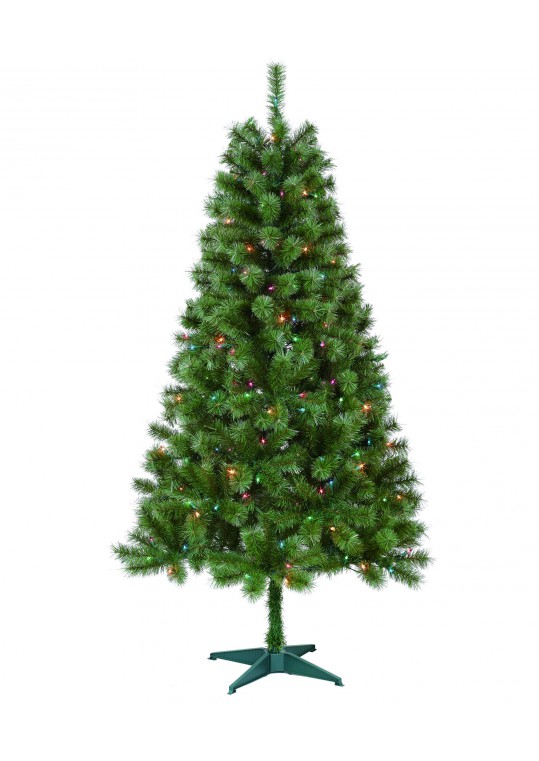 Caoimhe 6FT Sentiments Green Multi Tree