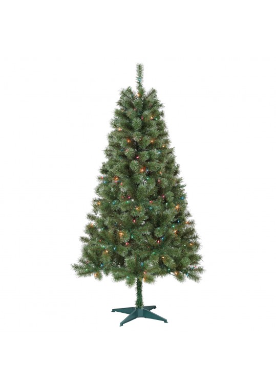 Caoimhe 6FT Sentiments Green Multi-color lights Tree