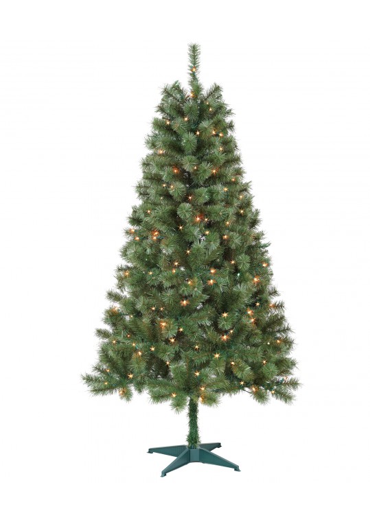 Aisling 6FT Sentiments Green Clear Tree