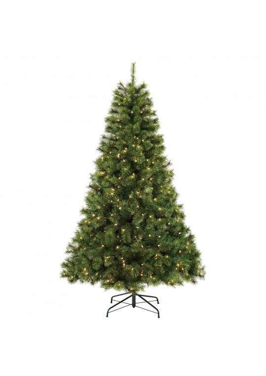 Isobel 7FT Aspen Pre-Lit Clear lights Tree