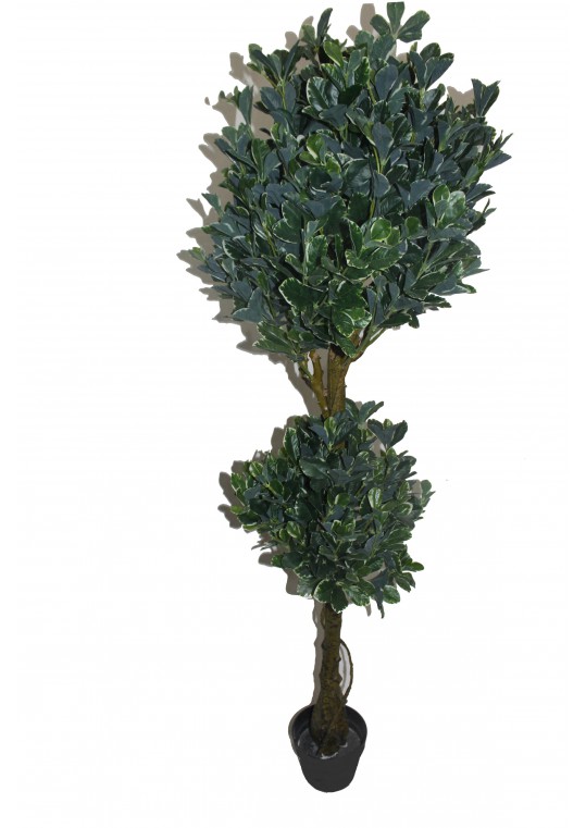 59 Inch White Edge Fortune Tree