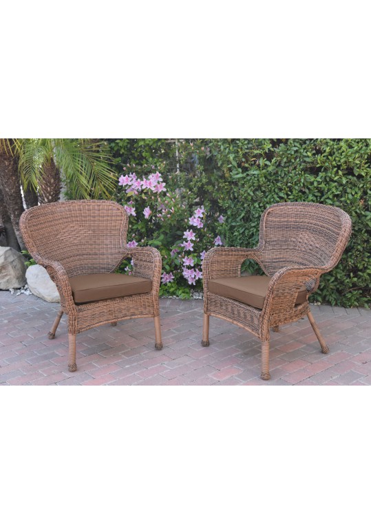 Set of 2 Windsor Honey Resin Wicker Chair with Brown Cushions