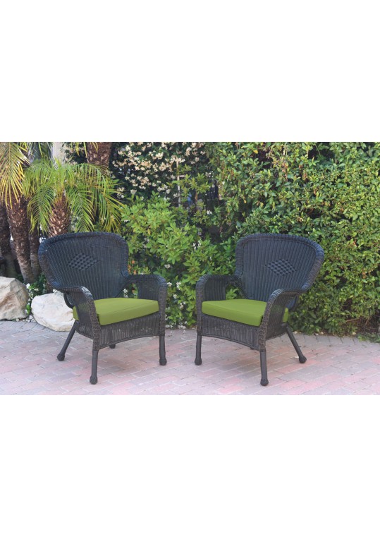 Set of 2 Windsor Black Resin Wicker Chair with Sage Green Cushions