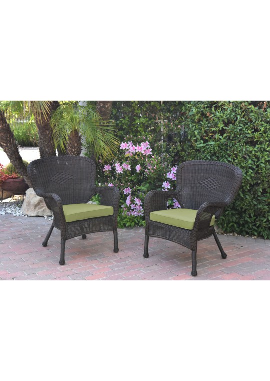 Set of 2 Windsor Espresso Resin Wicker Chair with Sage Green Cushions